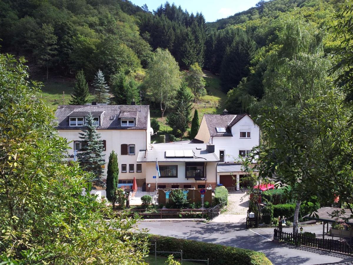 Ferien Und Selbstversorgerhaus Fuer Gruppen Sauerthaler Hof - Loreley Exterior photo
